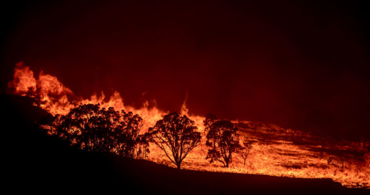 Fireside Fallout:  ash and particles are choking throughout the Australian River