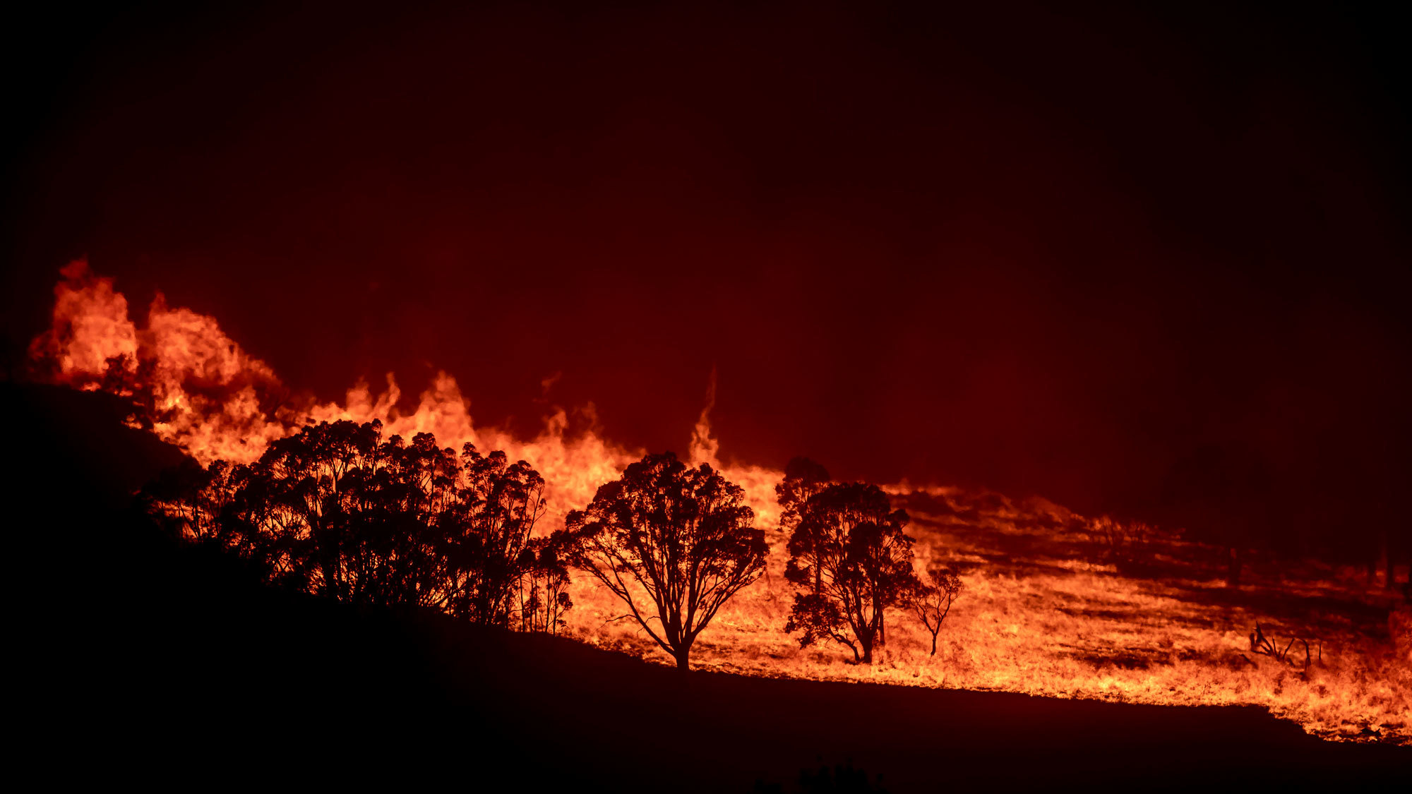 Fireside Fallout:  ash and particles are choking throughout the Australian River