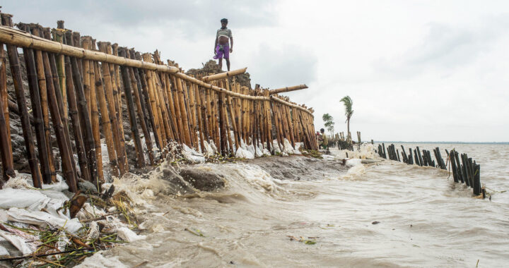 When the Deltas of the world sinks, the rising sea is barely the offender