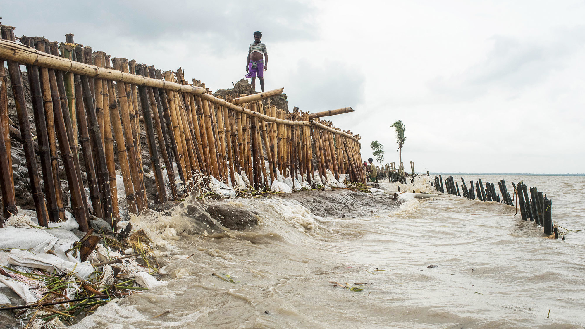 When the Deltas of the world sinks, the rising sea is barely the offender