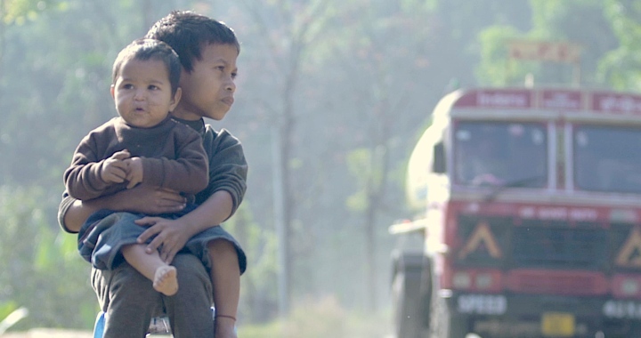 In northeastern India, cement crops break the forest and tips about learn how to dwell