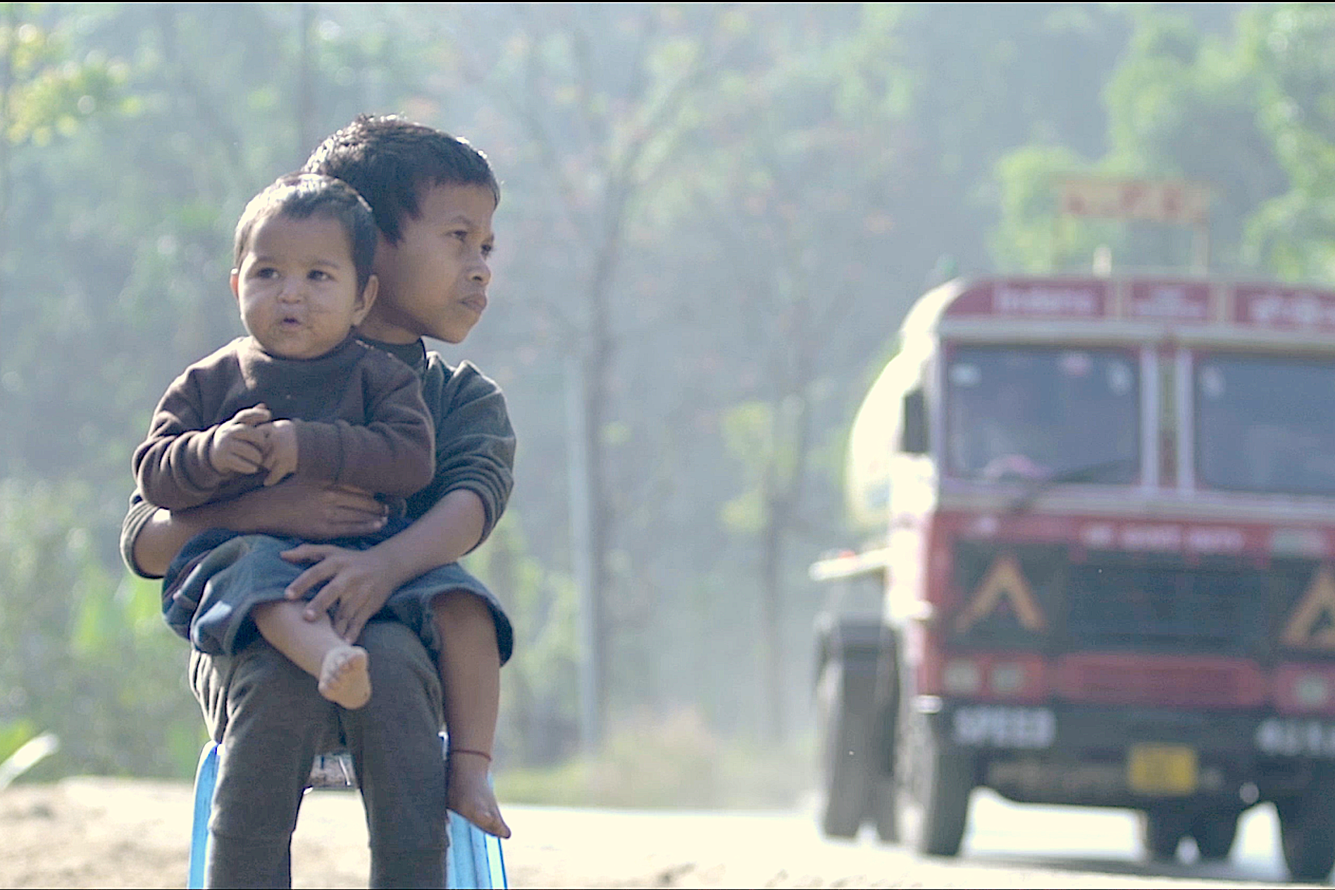 In northeastern India, cement crops break the forest and tips about learn how to dwell