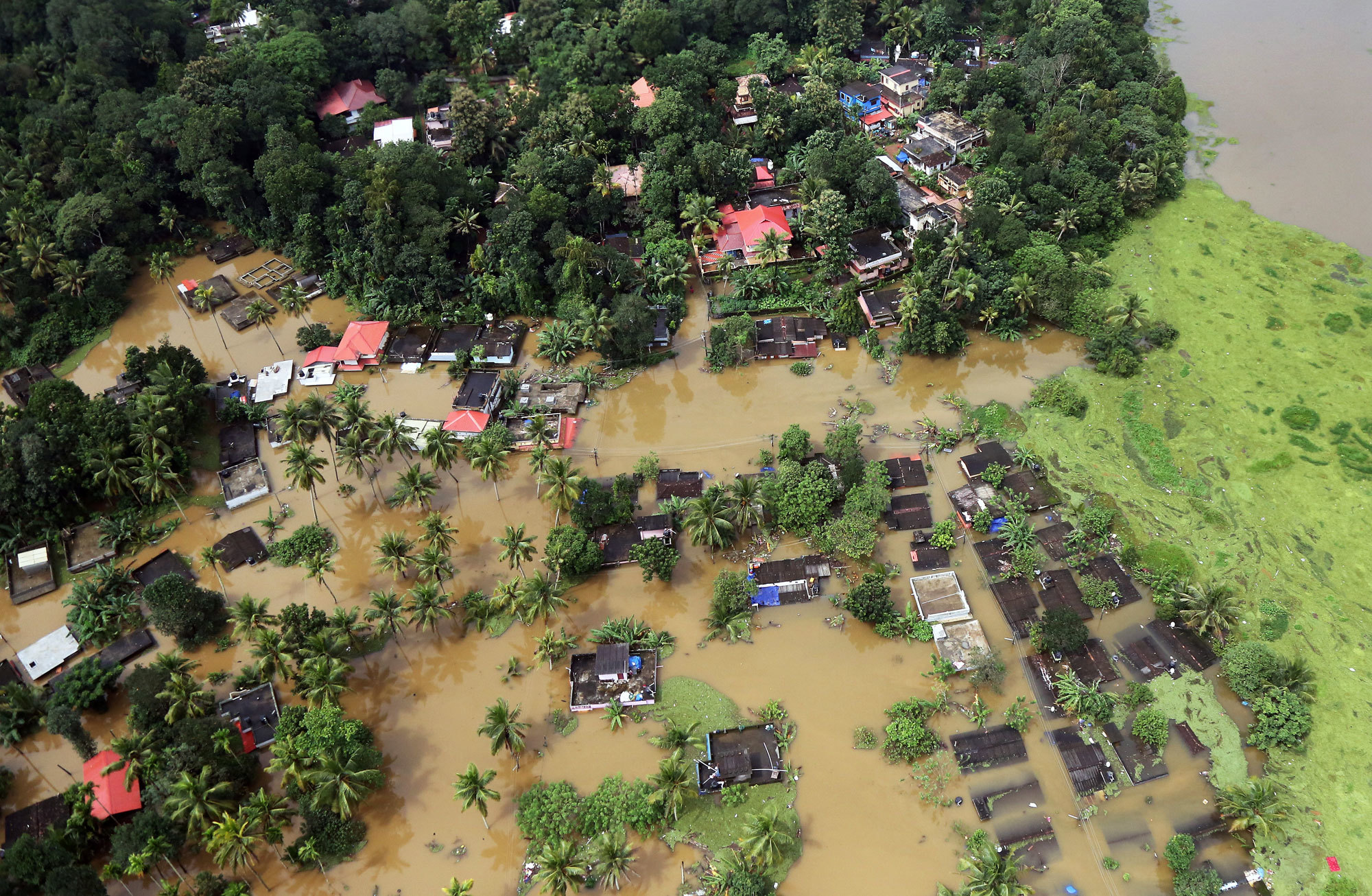 In India, the flexibility of nature overwhelms wetlands designed