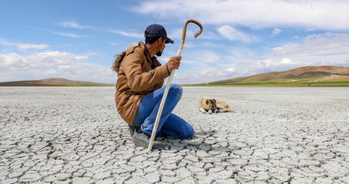 When the native climate is grilled, Türkiye faces a future with out water